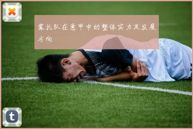 蒙扎队在意甲中的整体实力及发展方向