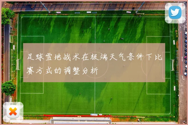 足球雪地战术在极端天气条件下比赛方式的调整分析