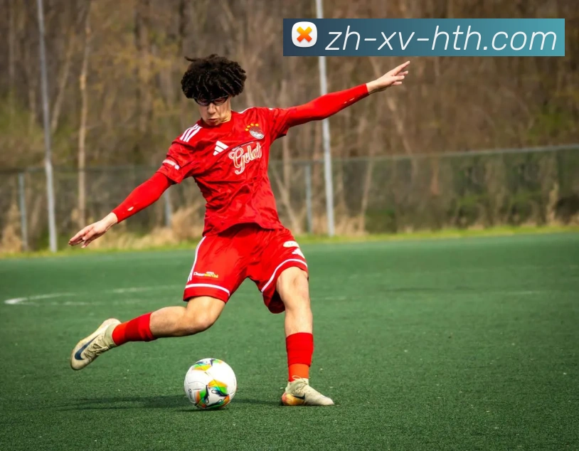 华体会登录入口服务体系